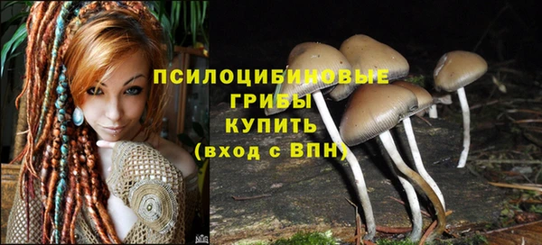 трава Абдулино