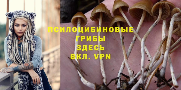 каннабис Абаза