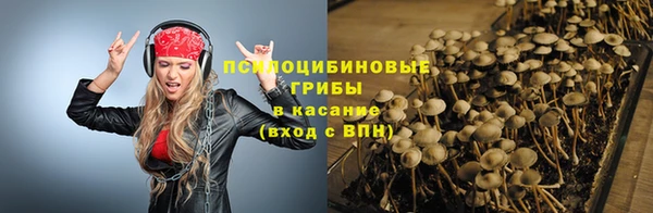 трава Абдулино