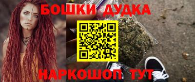 a pvp Славгород