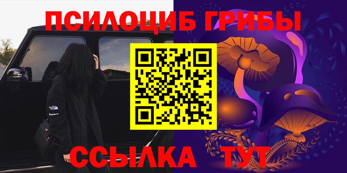 Галлюциногенные грибы Psilocybine cubensis Норильск
